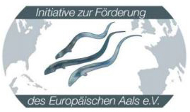 Aalaktie Aal Initavive zur Förderung des europäischen Aals e.V. bei feelstrong personal Training Aale 
