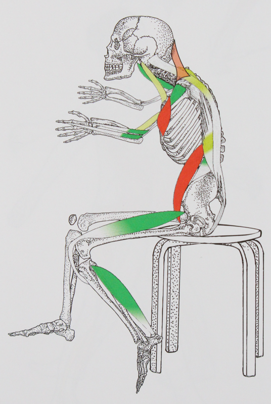feelstrong: krumme Sitzposition am Schreibtisch, der Hüftbeuger kann für viele Probleme im Körper verantwortlich sein, z.B. Bandscheibenvorfall Muskelfaserriss Muskelbündelriss Ellenbogen Ellenbogenschmerzen Ellenbogenprobleme Oberschenkel Oberschenkelschmerzen Oberschenkelprobleme Knie Knieschmerzen Knieprobleme Wade Wadenschmerzen Wadenprobleme Leiste Leistenprobleme Leistenschmerzen Po Pomuskel Poschmerzen Poprobleme Rücken Rückenschmerzen Rückenprobleme Nacken Nackenschmerzen Nackenprobleme ISG Schulter Schulterschmerzen Schulterprobleme Muskel Muskelprobleme Muskelschmerzen Iliosakralgelenk bei Fußballspielern Fußballtraining Fußball Fußballer Leistungssportler Fußballspieler Fußballtrainer Stürmer Feldspieler  Dribbeln Passen Hechten Torwart Torwartspieler Torwarttrainer Torwarttraining Torhüter Torhütertraining Torhütertrainer Keeper Keepertraining Keepertrainer Reha Sport Rehatraining Rehasport  Präventionssport Prävention Fitnesstraining Haltungskorrektur Bremerhaven